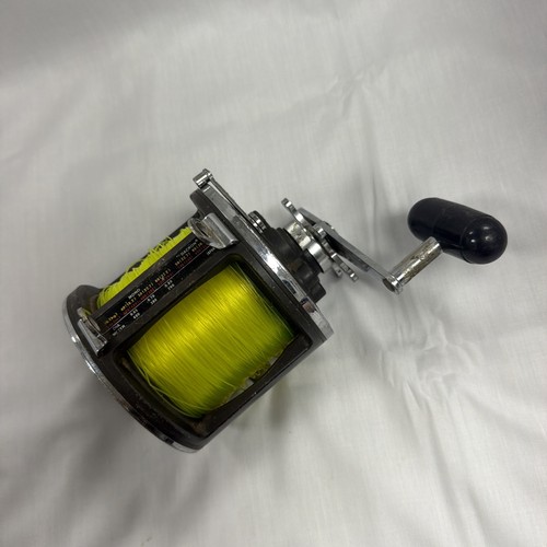 Huge nice daiwa sealine - daiwa,