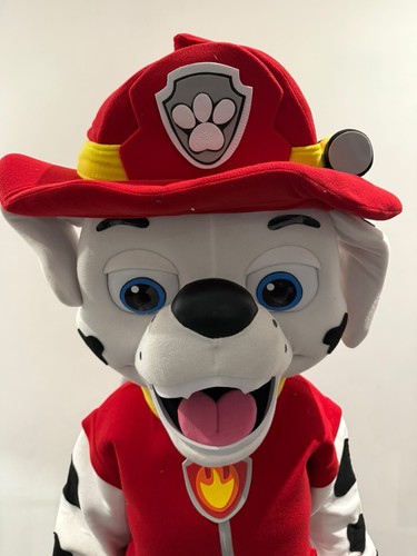 Marshall paw patrol - marshall,