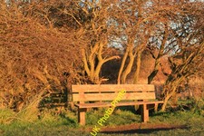 Photo A2 Lochore Meadows Country Park Lochgelly One of the many benches  c2013