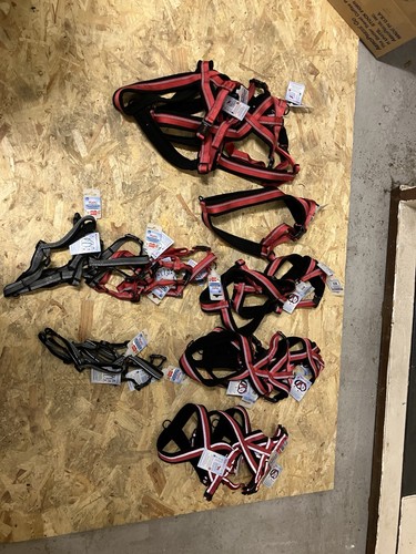 Job lot x18 halti - job,