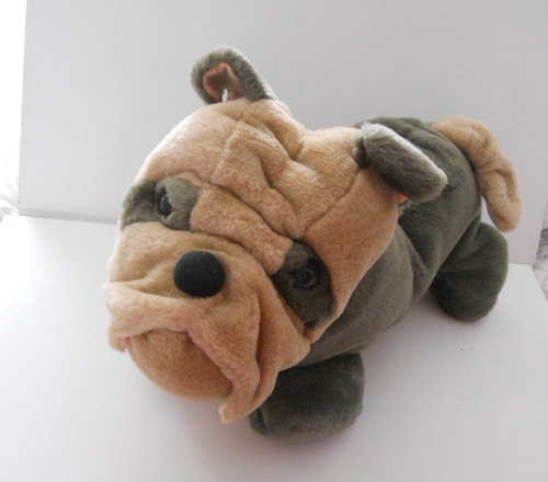 Soft wrinkle english bulldog - english,