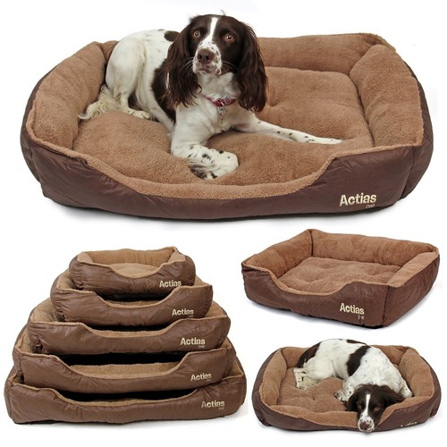 Dog bed pet puppy - dog,