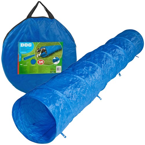 Pet dog agility training - agility,