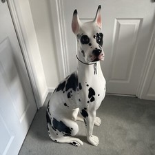 Italian Ceramic Lifesize Great Dane Sculpture 1964 Vintage Ex Cond