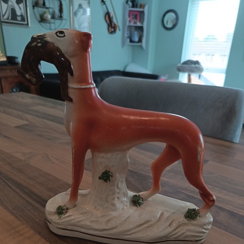 Charming large greyhound - charming,