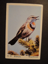 DANDY GUM WILD ANIMALS DANISH