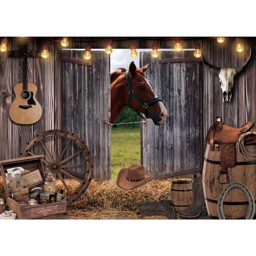 Wild west cowboy - wild,