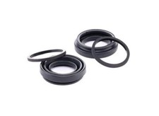Rear Brake Caliper Seals Set