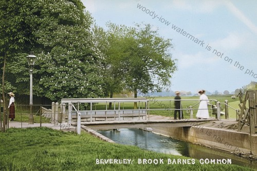 Col1125 london beverley - col1125,