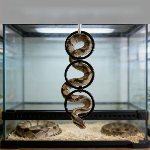 Snake climbing rings - climbing,