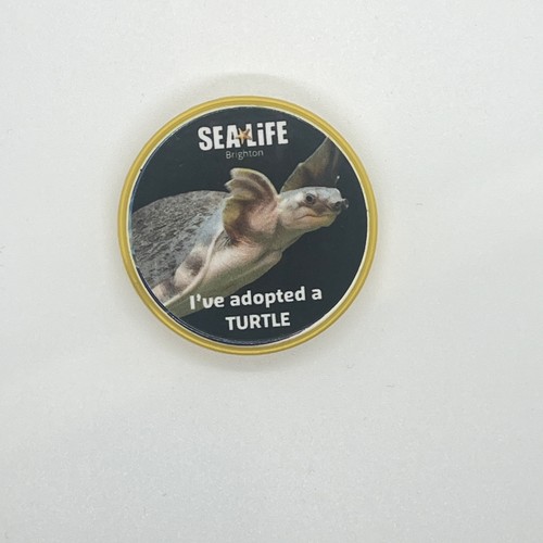 Sea life centre turtle - life,