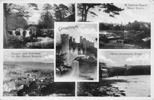 Family history genealogy - history,