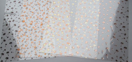 Hunkydory floral coloured - 8,