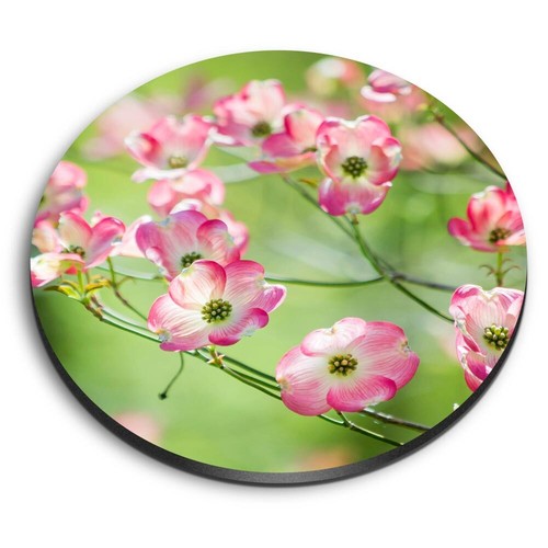 Round fridge mdf - round, magnet