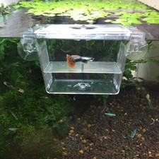 Aquarium Fish Breeding Box