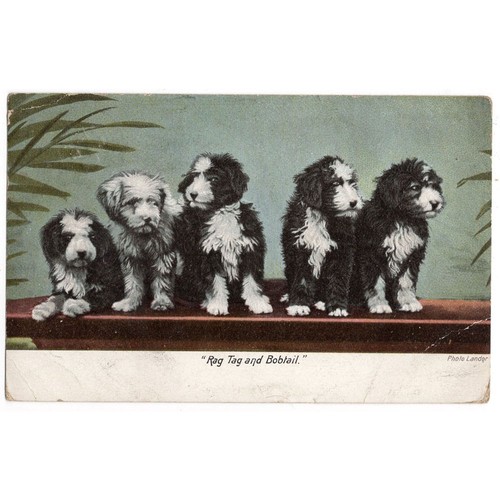 Rag tag bobtail old english - tag, &