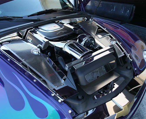 Carbon fiber fuel rail covers - carbon,
