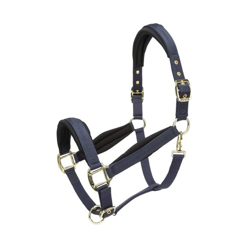 Shires arma padded - arma,