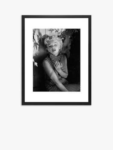 Brookpace lascelles marilyn - brookpace, 'marilyn