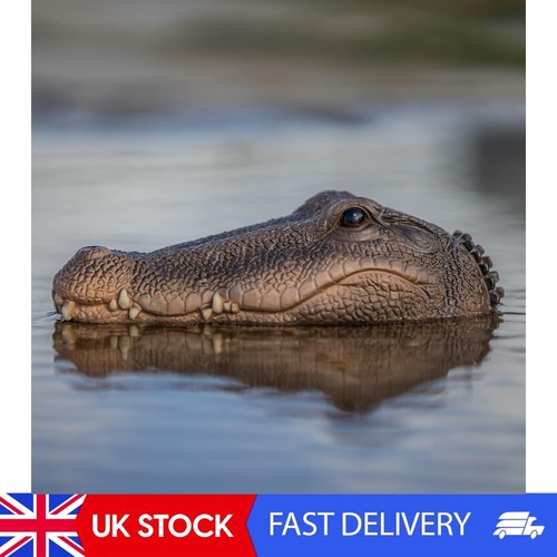 Floating crocodile alligator - floating, crocodile/alligator