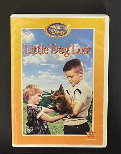 Little dog lost - little,