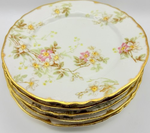 Set antique limoges - limoges, france