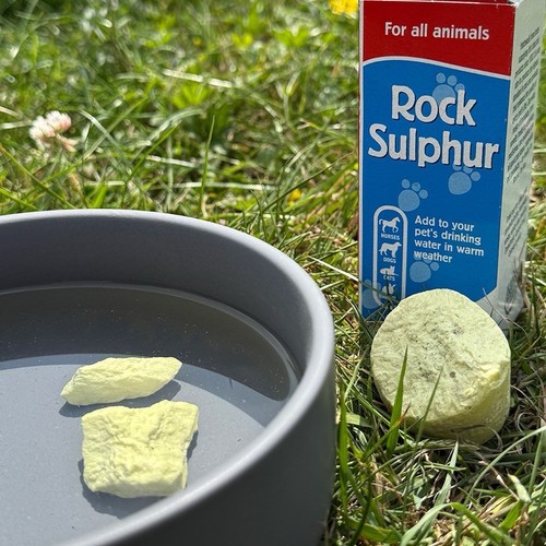 Rock sulphur supplement for - supplement,