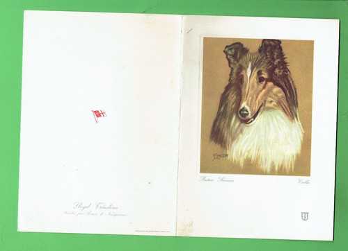 D138 1967 guglielmo - ,