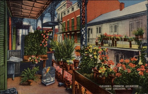 Louisiana new orleans gallery - louisiana,