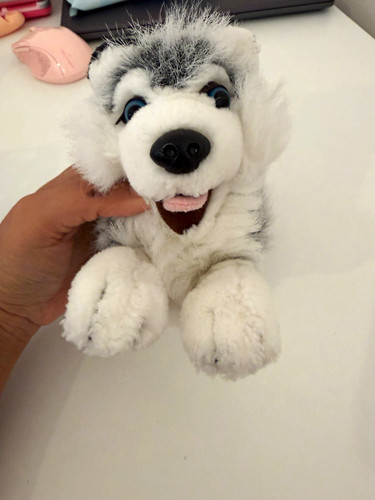 Grey white husky dog plush - grey,