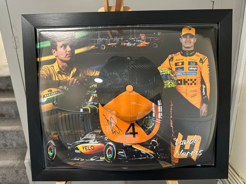 Hand signed lando norris - hand, f1