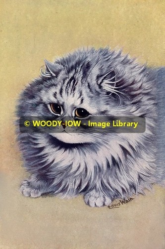 Rp10219 louis wain - louis,