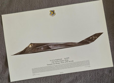 Squadron Print A F-117A