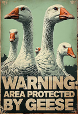 Warning Area Protected By