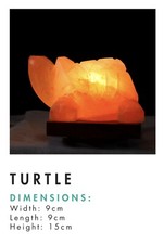 Turtle Shape Himalayan Pink