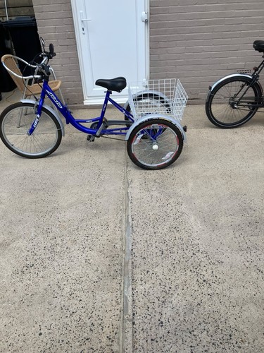 Blue metal adult tricycle - adult,