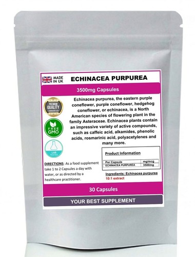 Echinacea extract capsules - echinacea,