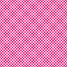 GORGEOUS  "GINGHAM" CANVAS