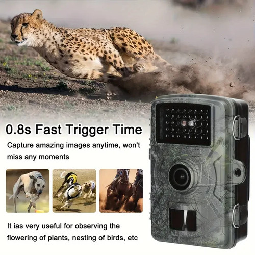 1080p fhd outdoor - 1080p,