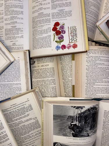 100 old vintage - vintage, book