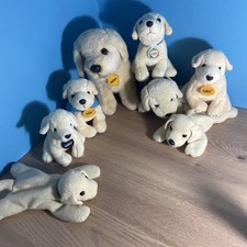 BUNDLE GOLDEN LABRADOR