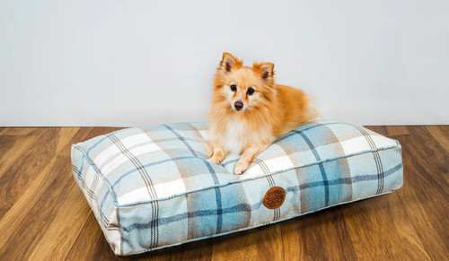 Snug cosy pets highland - &,