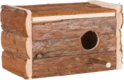Budgie breeding nesting - budgie,
