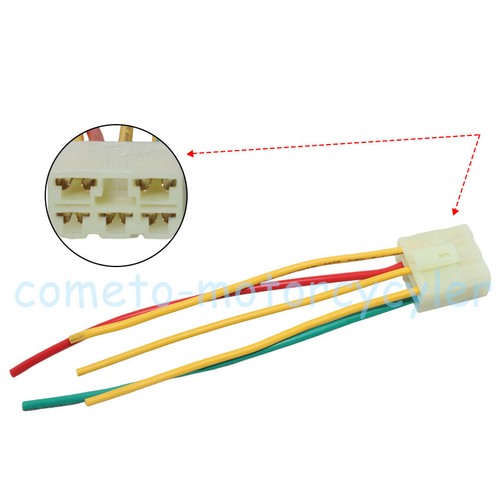 Stator plug connector for - stator,