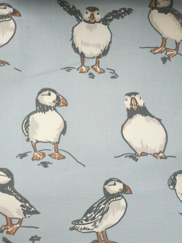 Atlantic puffin powder blue - puffin,