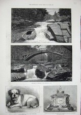 Old Antique Print 1880 Braemar Scotland Chinese Pug Dog Casket Bessemer 19th