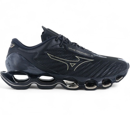 Mizuno wave prophecy men - 12,