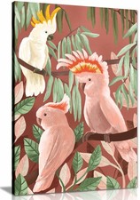 Cockatoos Framed Canvas Print