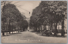 Cheltenham Parade Horse Carriage Gloucestershire Postcard Vintage by Westley