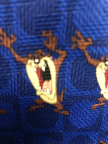Tasmanian devil looney tunes - tasmanian,